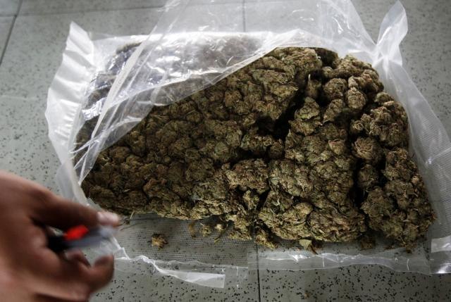 Kod Paraæinca pronaðeno 25 kg marihuane