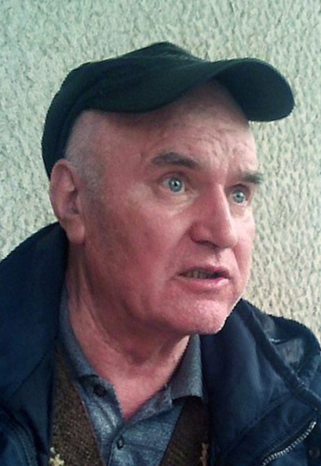 Hapšenje Mladića 2011: 