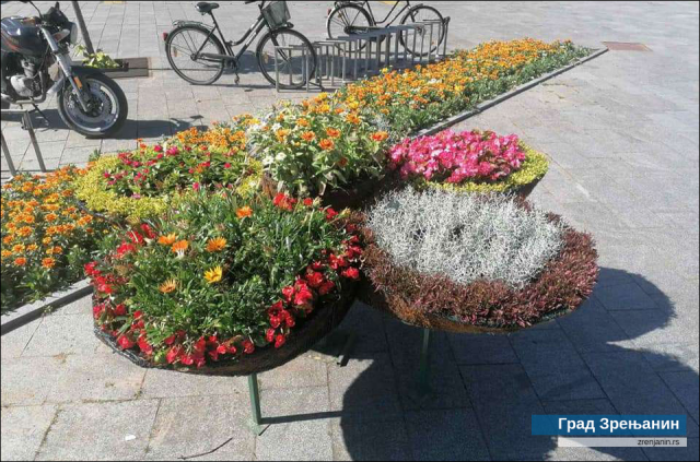 Nove cvetne rundele na Bagljašu; na Trgu slobode cvetni aranžmani FOTO