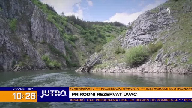 Rezervat "Uvac" otkrio 199. zaštiæenu vrstu ptica VIDEO