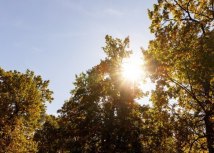 Ilustracija: Depositphotos/AntonMatyukha