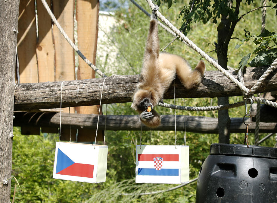 184225144460ccb821bfd09136720819_orig.jp