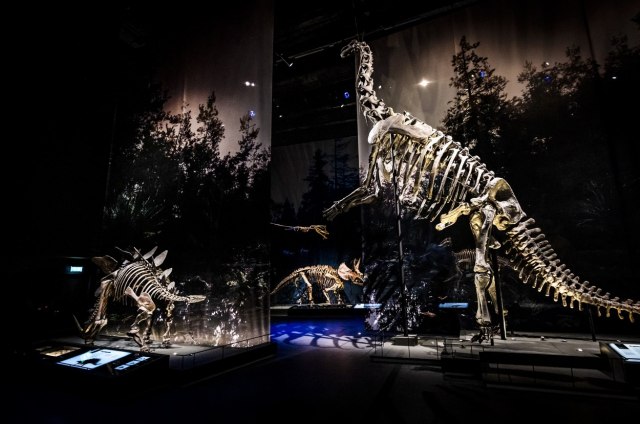 Nove pretpostavke kako je izgledala šetnja poslednjih dinosaurusa