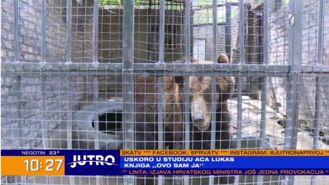 Vrućine u zoo vrtu u Jagodini: 