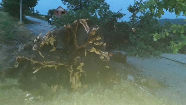 Oluja, grad, isčupano drveće - to je bilo u Čačku FOTO