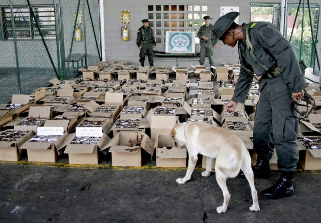 Holandska policija zaplenila rekordne tri tone kokaina