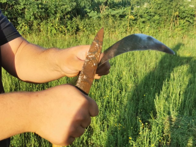 On voli da kosi: Ne štedi svoje, a ni tuðe livade, kod ovog mladiæa ne štrèi ni travka