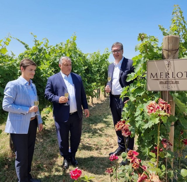 Vuèiæ, Brnabiæ and Orban visit the vineyards of Srem PHOTO