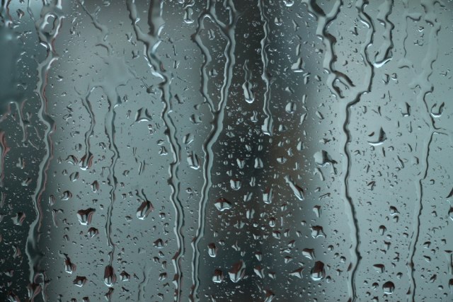 Shutterstock/ Ellica