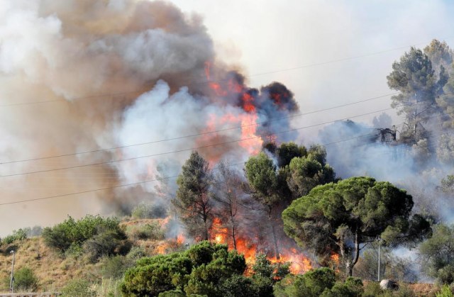 Nezabeleženi šumski požari u Sibiru; Vatra zahvatila gotovo 800.000 hektara zemje VIDEO