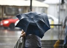 Foto: Shutterstok/Nebojsa Markovic