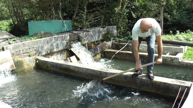 Prete zaraza i katastrofa: Smrad će se 'čuti' do Banjaluke