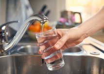 Shutterstock/ sonsart