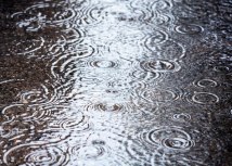 Ilustracija: depositphotos/MrTwister