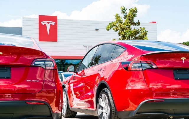 Pacovi masovno napadaju Tesla automobile