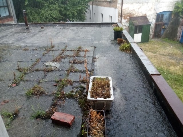 Ponovo hitno upozorenje: U Beogradu veèeras kiša i pljuskovi sa grmljavinom; danas padao i grad FOTO