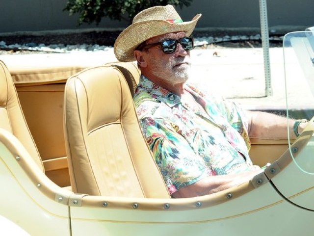 Niko ne uživa u "penziji" kao Arnold Švarceneger FOTO