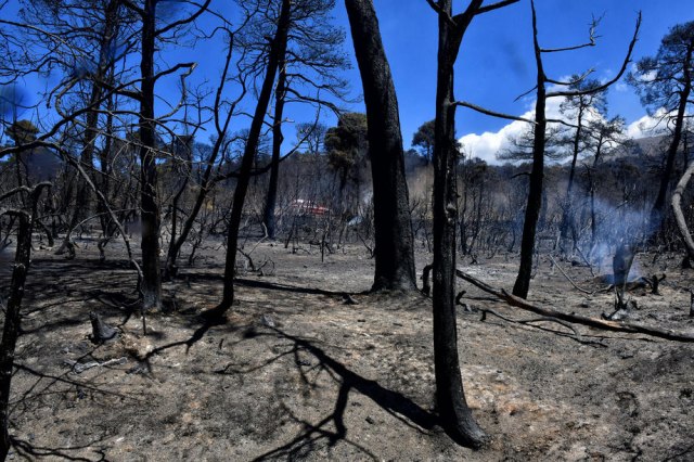 U SAD bukte šumski požari; izgorelo podruèje velièine Los Anðelesa