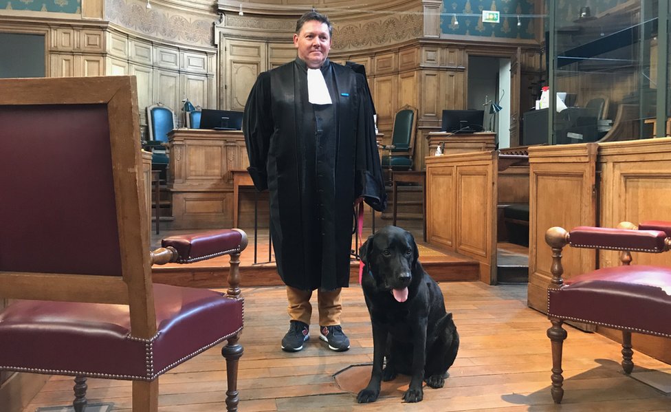 Francuska i životinje: Kako jedan labrador smiruje žrtve zloèina tokom sudskih procesa