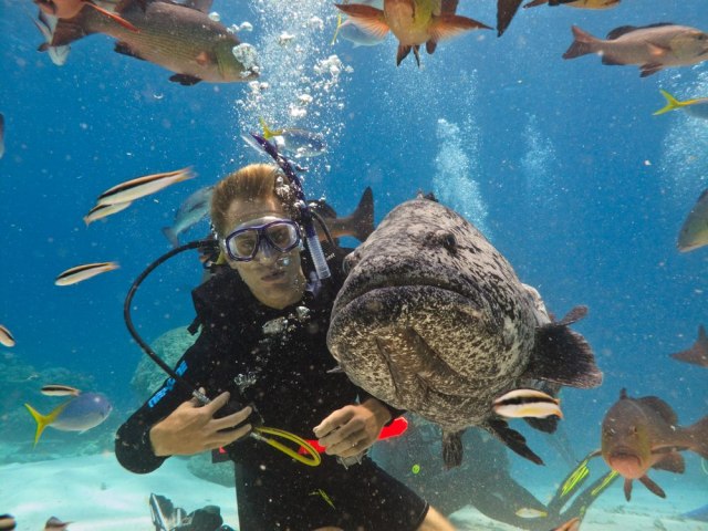 Sve za turizam: Australija sprečila UNESKO da Veliki koralni greben proglasi za ugrožen FOTO