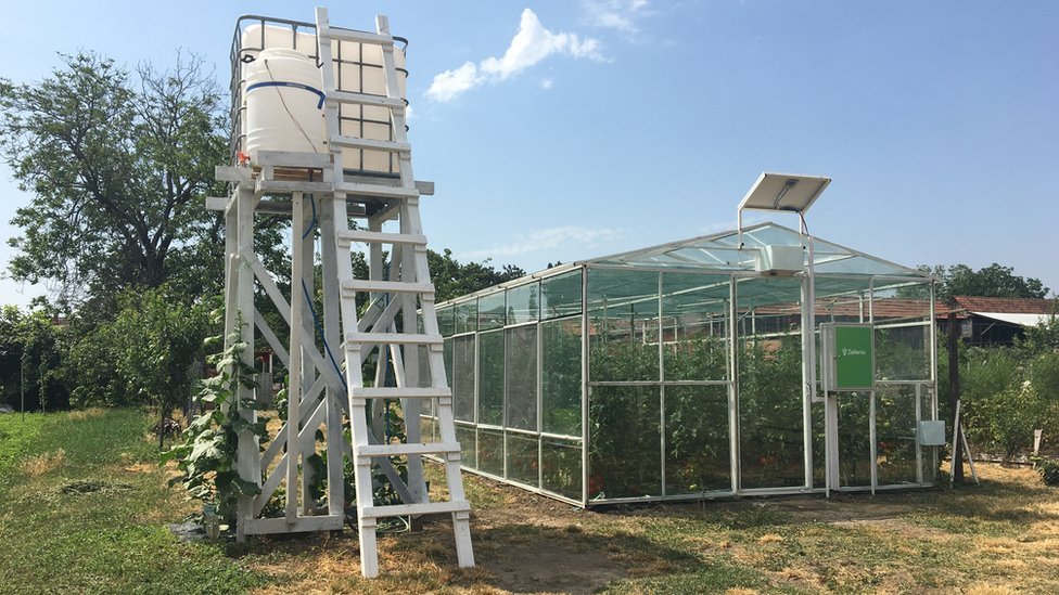 Tehnologija i poljoprivreda: Pametna staklena bašta - srpski inženjeri pronašli način za gajenje voća i povrća iz fotelje