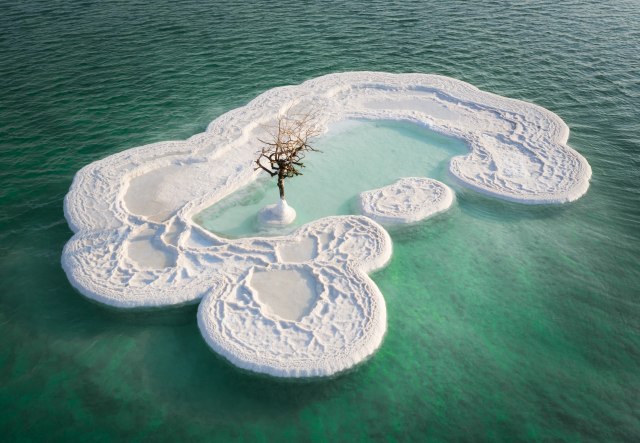 Turistièka atrakcija: "Drvo života" na ostrvu od soli usred Mrtvog mora FOTO/VIDEO