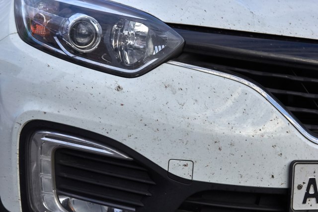 Kako skinuti zalepljene i sasušene insekte sa automobila