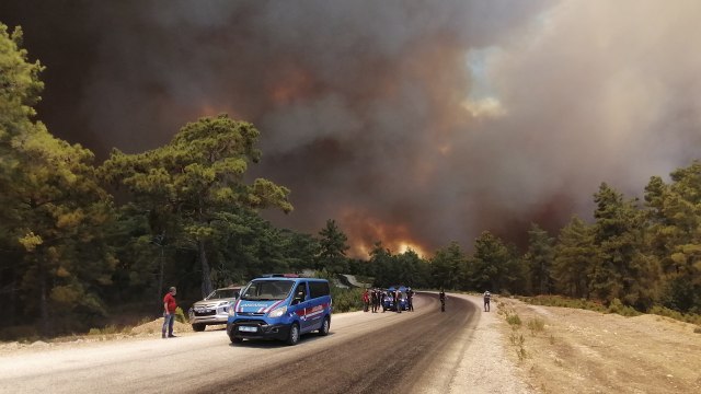 Požar u Antaliji pod kontrolom; turisti iz Srbije nisu tražili pomoć od Ambasade
