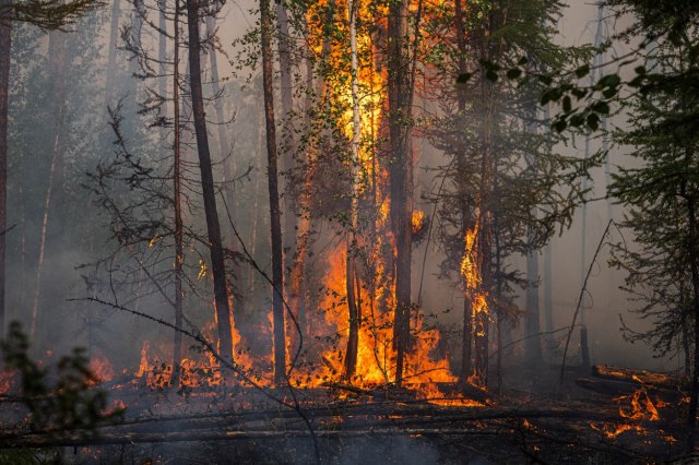 Gori u Rusiji - preko milion hektara u plamenu, građani evakuisani VIDEO/FOTO