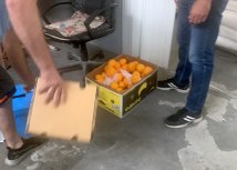 Uprava carina Republike Srbije