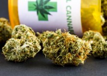 Foto: Depositphotos/TeriVirbickis