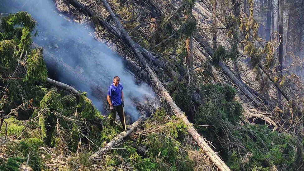Srbija, priroda i požari: Zašto dolazi do šumskih požara