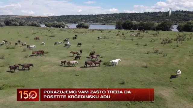 Krèedinska ada: Carstvo za sve ljubitelje životinja VIDEO