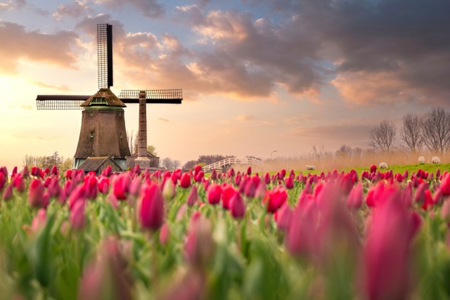 Tri najlepša grada Holandije FOTO