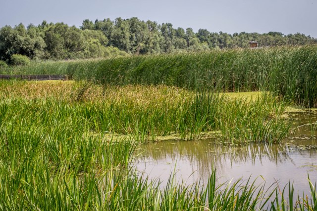 Rezervat biosfere "Mura-Drava-Dunav" u pet država upisan na listu Uneska