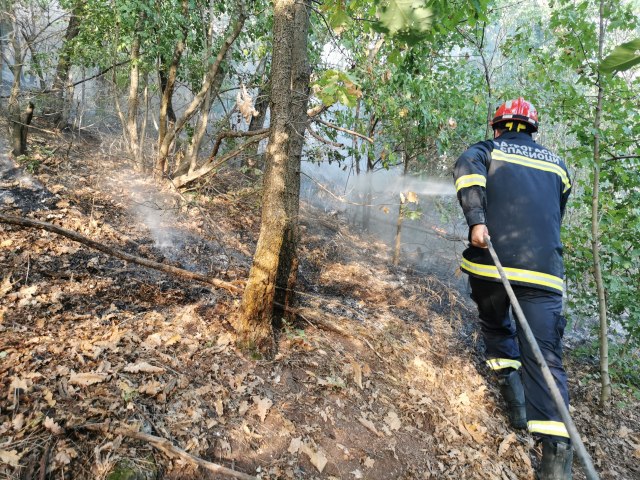 Gori šuma u selu pored Čačka: Požar preti kućama, vatrogasci se satima bore sa vatrenom stihijom FOTO