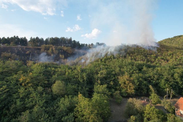 Požar u šumi kod Èaèka; "Odjednom se pojavio plamen" FOTO/VIDEO