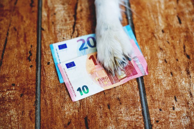 Kako biste doèekali pseæi porez: U jednoj zemlji plaæa se od 5 do 200 € - od èega zavisi?
