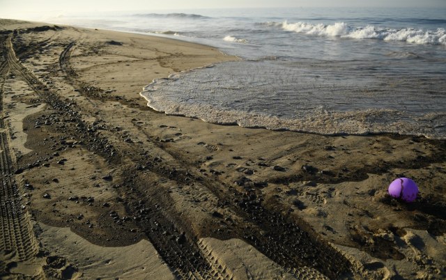 Izlila se nafta u Kaliforniji, na plažama mrtve ptice i ribe; "Posledice su nepovratne" FOTO