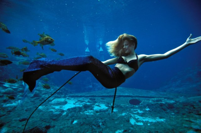 Ljudi tvrde da su snimili prave sirene - loši snimci ili one ipak postoje? VIDEO