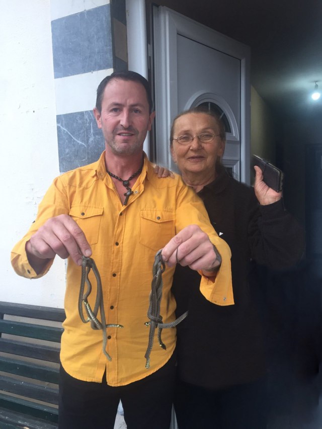 Mira iz Užica godinama u sobi živela sa devet zmija, a da nije ni znala FOTO