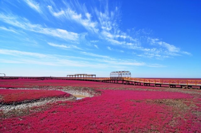 Čudo prirode: Crvena plaža koja nestaje svakog proleća