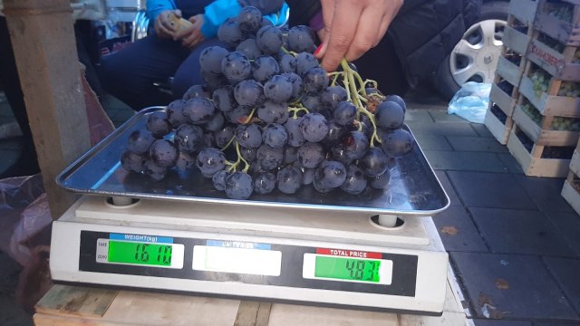 Jedan grozd - skoro dva kilograma: Porodica iz Topole obara sve rekorde FOTO