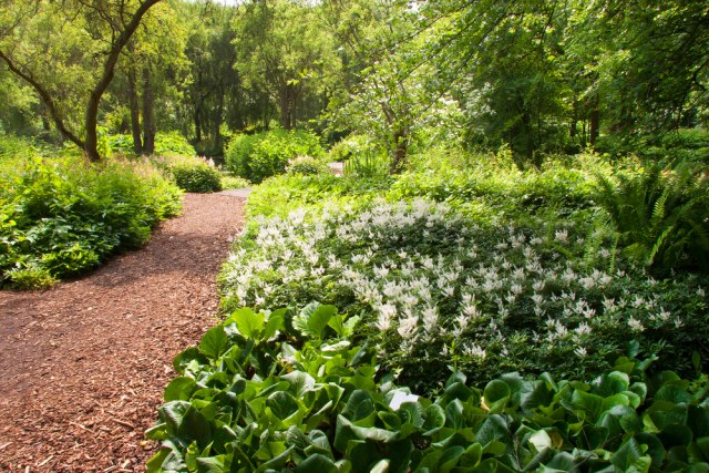 Novi Sad dobija botaničku baštu, traži se projektant