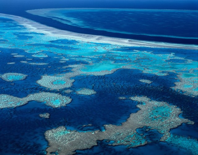 Fenomen koji budi nadu - poèelo razmnožavanje Velikog koralnog grebena