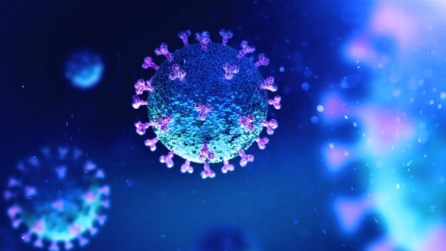 45007721461a134c203036933425988_640x360x