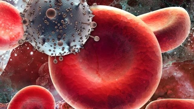 180031102661a4a040d8741045572870_640x360