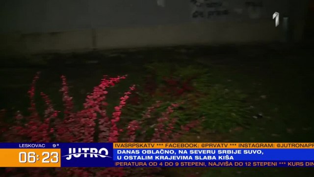 Drska kraða u centru Kragujevca: Preko noæi nestalo cveæe i sadnice ispred Skupštine grada VIDEO