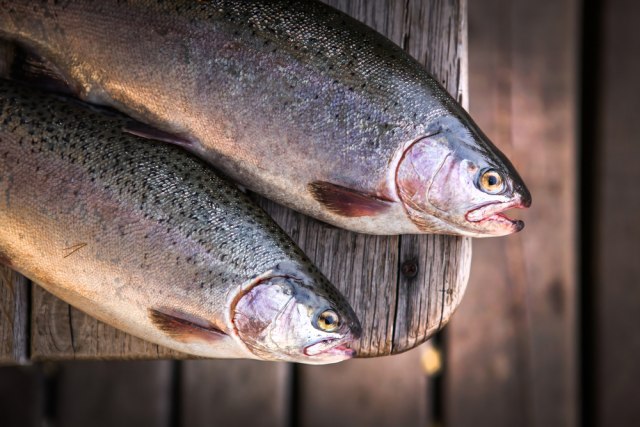 Poèeo je post, a Novosaðani najviše kupuju reènu ribu: Kakve su cene?