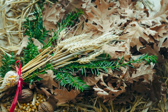 Danas je Badnji dan: Prvom iveru koji se odvaja od badnjaka pripisuje se magična moć